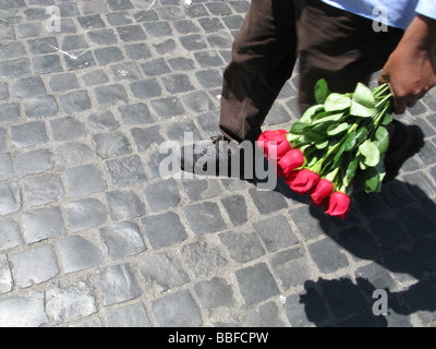 asiatische Einwanderer verkauft Rosen für Touristen in Rom Italien Stockfoto