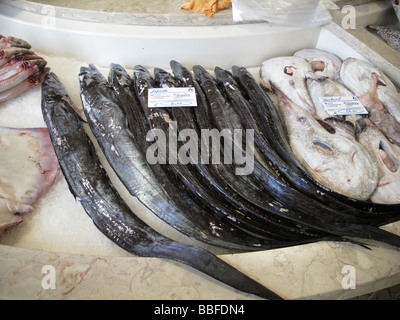 Fisch Espada Aphanopus Carbo und Seeteufel Lophius Piscatorius zum Verkauf auf dem Fischmarkt in Lagos Algarve Portugal Stockfoto