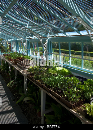 Charles Darwins Greenhouse in Down House, Downe, Kent, Großbritannien Stockfoto