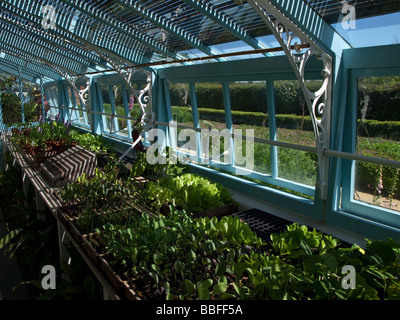 Charles Darwins Greenhouse in Down House, Downe, Kent, Großbritannien Stockfoto