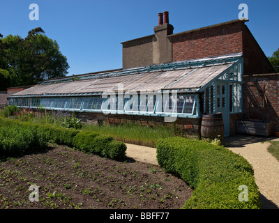 Charles Darwins Greenhouse in Down House, Downe, Kent, Großbritannien Stockfoto