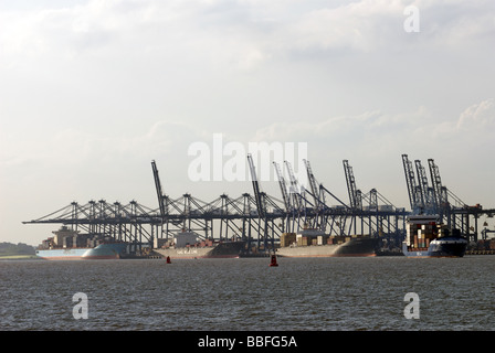 Trinity Quay im Hafen von Felixstowe, Großbritanniens größte Containerterminal, Suffolk, UK. Stockfoto