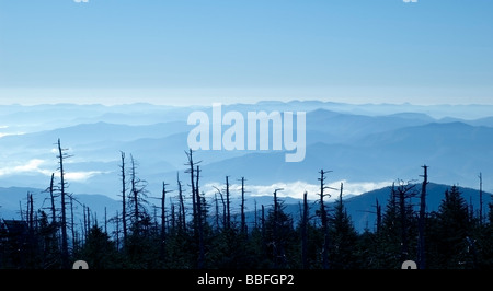 Erstaunliche Smoky Mountains Panoramablick vom Clingman s Kuppel Stockfoto