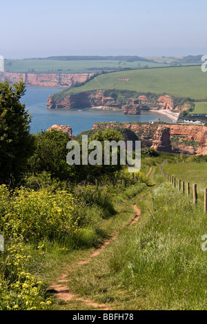 Ladram Bucht von Küsten Fußweg South Devon England uk gb Stockfoto