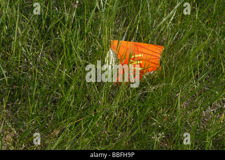 Verschmutzte Natur mit Müll Abfall in die grüne Natur werfen Nahaufnahme von oben Blick von oben nach unten in den USA horizontale Hochauflösung Stockfoto