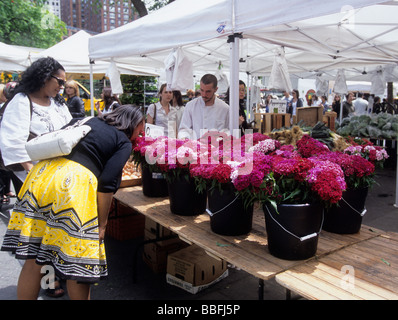 Union Square Green Market. Straßenverkäufer auf dem 14. Straßenbauernmarkt. Verkauf von Blumen auf der Straße in New York City USA Stockfoto