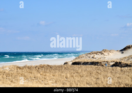 Ocean Sanddünen mit Seegang und Wellen am Strand von Sandy Neck in Sandwich und Barnstable Cape Cod, Massachusetts, USA Stockfoto