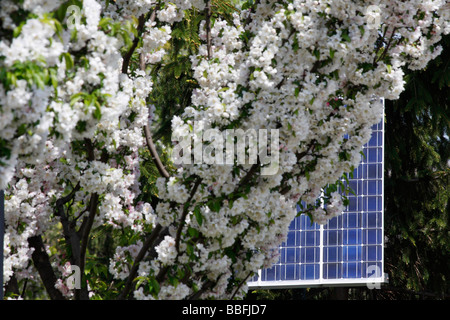 Die Energie ein Solarmodul Haushalt Energie grüne Energie im Garten Nahaufnahme Vorderansicht Hintergrund niemand in den USA horizontal Hi-res Stockfoto