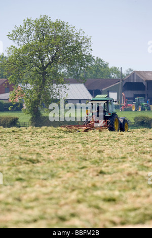 Traktor drehen Grass Silage zu machen bereit Stockfoto