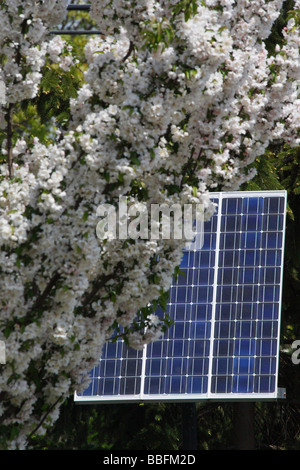 Die Energie ein Solarmodul Haushalt Strom grüne Energie im Garten Niemand Ohio USA US Vorderansicht Nahaufnahme Niemand vertikale Hintergrundfotos Hi-res Stockfoto