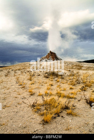 Weiße Kuppel Geysir, Lower Geyser Basin Stockfoto