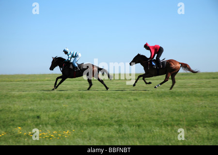 Zwei Rennpferde training mit Jockeys. Stockfoto