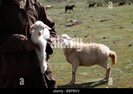 Afrika, Nordafrika, Marokko, Atlasgebirge, terrassierten Felder, Tizi n Tichka, Hirten, Schafe und ihr Lamm Stockfoto