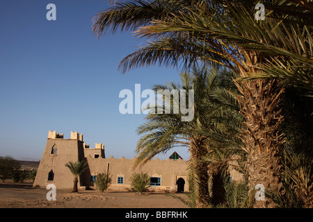 Afrika, Nordafrika, Marokko, Merzouga, Erg Chebbi, Auberge Lifwal, Palmen Stockfoto