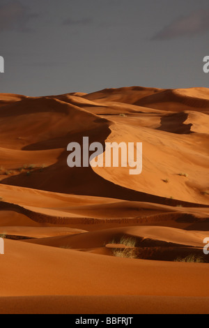 Afrika, Nordafrika, Marokko, die Wüste Sahara, Merzouga, Erg Chebbi, Sonnenuntergang Stockfoto