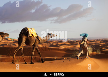 Afrika, Nordafrika, Marokko, Sahara Wüste, Merzouga, Erg Chebbi, Berber Tribesman führt Kamele Stockfoto