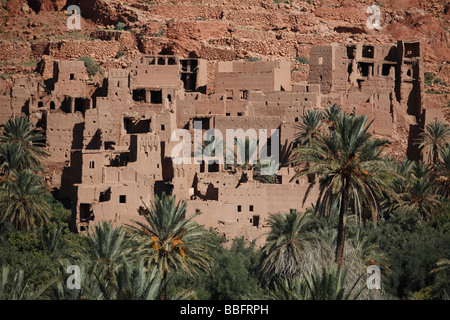 Afrika, Nordafrika, Marokko, Tinghir, Dades Tal, Atlas-Gebirge, Kasbah, Palmenhainen, Schlamm Backsteinbauten Stockfoto