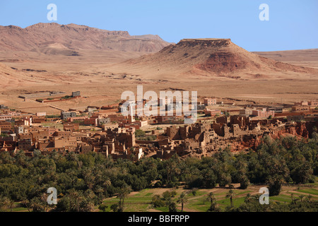 Afrika, Nordafrika, Marokko, Tinghir, Dades Tal, Atlas-Gebirge, Dorf, Palmenhainen, Felder Stockfoto