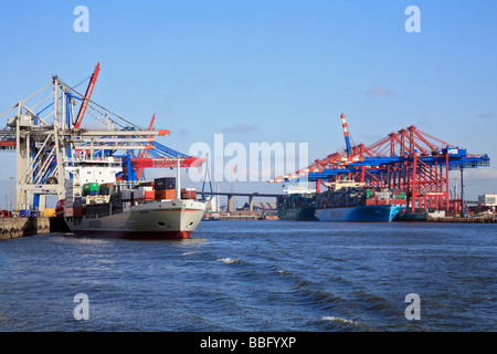 Feeder, Feederschiff, Container terminal Burchhardkai Kai, Containerbrücken, Containerschiff, Container, in den Rücken Eurogate Stockfoto