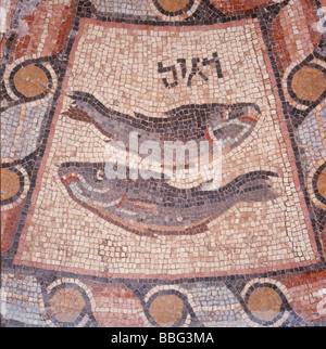 Israel Hammath südlich von Tiberias Detail der Fische aus dem 4. Jahrhundert-Mosaik Tierkreiszeichen in der Synagoge Stockfoto
