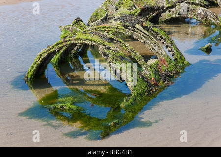 XT Handwerk Kleinst-u-Boot hinter Bay (nördliche die meisten) Stockfoto