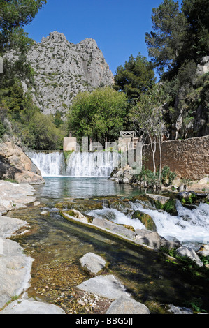 Schriften de l'Algar, Fuentes, Federn, Fluss, Naturpark, Callosa d ' en Sarria, Costa Blanca, Alicante, Spanien, Europa Stockfoto