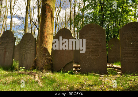 Jüdischer Friedhof in Amsterdam. Stockfoto