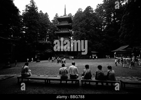 Stein-Torii und die fünf sagenumwobenen Pagode. Tosho-gu Shinto Schrein. Nikko. Präfektur Tochigi. Japan. Stockfoto