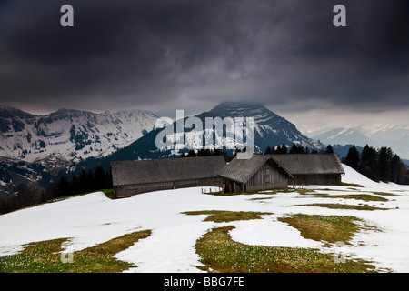 Pfingstboden Alm Alm in den Schweizer Alpen, Appenzell, Stockberg, Alpstein, Säntis, Schweizer Alpen, Schweiz, Europa Stockfoto