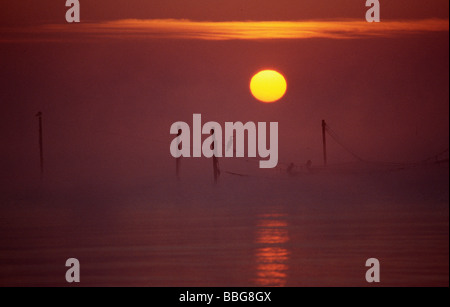 Kormorane gehockt Netze in den Morgen Sonne, Haffkrug, Schleswig-Holstein, Deutschland, Europa Stockfoto