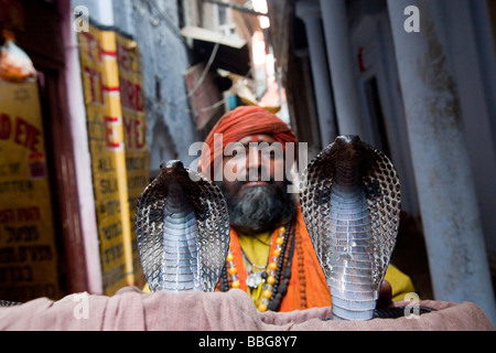 Schlange Handler mit zwei Kobras in Varanasi, Indien Stockfoto