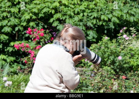 Eine ältere Dame Fotograf Aufnahmen in einem Rosengarten. Stockfoto