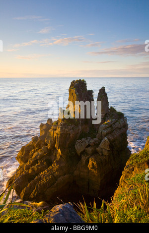 Meer-Stack Punakaiki Westküste Südinsel Neuseeland Stockfoto