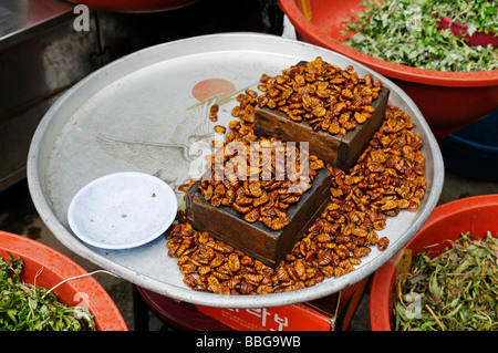 Koreanisches Essen, gerösteten Käferlarven auf einem Markt in Seoul, Südkorea, Asien Stockfoto