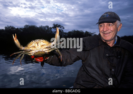 Ägäis Frischwasser Krabbe (Potamon Potamios), Krabben-Fischer, Australien, Queensland Stockfoto