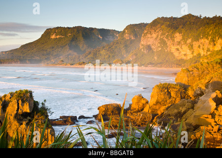 Punakaiki Beach Westküste Südinsel Neuseeland Stockfoto