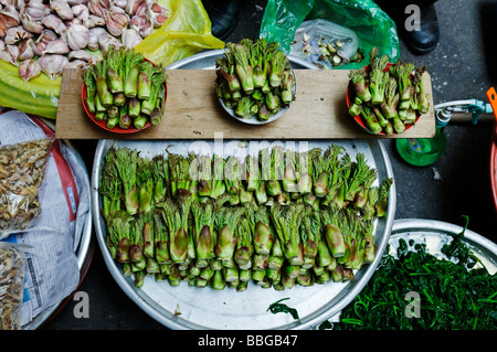 Koreanisches Essen, frisches Gemüse auf einem Markt in Seoul, Südkorea, Asien Stockfoto