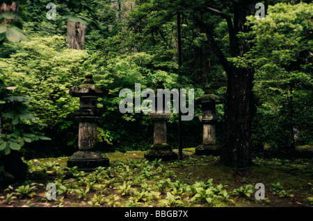 Steinlaternen. Komplexe Taiyuin-Mausoleum. Nikko. Präfektur Tochigi. Japan. Stockfoto