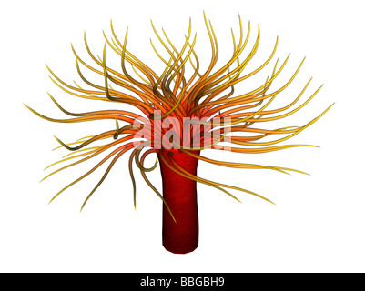 3D Abbildung einer anemone Stockfoto