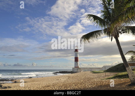 Leuchtturm Farol de Itapua und Palme, Salvador, Bahia, Brasilien, Südamerika Stockfoto