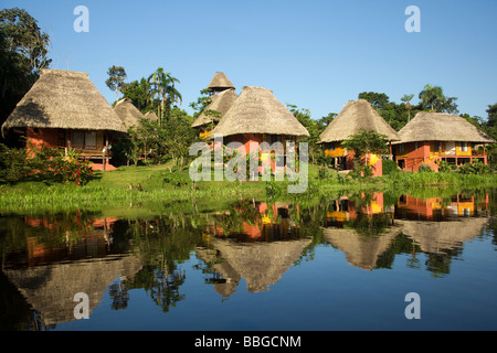 Napo Wildlife Center - Yasuni Nationalpark, Provinz Napo, Ecuador Stockfoto