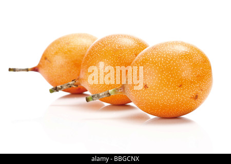 Drei Granadillos Stockfoto