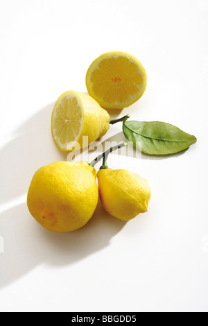 Persische Limonen (Citrus Latifolia) auf einem Zweig, einer halben Zitrone Stockfoto