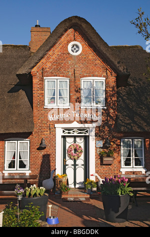 Cafe "Kleine Teestube", kleine Teestube in Keitum, Sylt Insel, Schleswig-Holstein, Deutschland, Europa Stockfoto