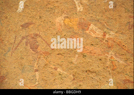 Polychrome Felsmalereien in Maack's Shelter in der Leopard Gorge, Tsisab Ravine at Mt Brandenberg, Namibia, Afrika Stockfoto