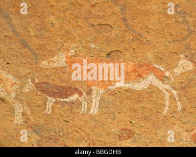 Polychrome Felsmalereien in Maack's Shelter in der Leopard Gorge, Tsisab Ravine at Mt Brandenberg, Namibia, Afrika Stockfoto