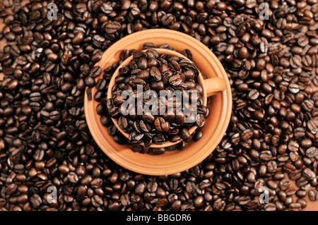 Kaffeebohnen in eine Tasse Stockfoto