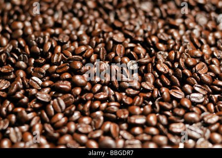 Kaffee Bohnen Stockfoto