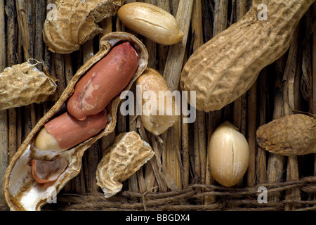 Erdnüsse (Arachis Hypogaea) auf Stroh Stockfoto