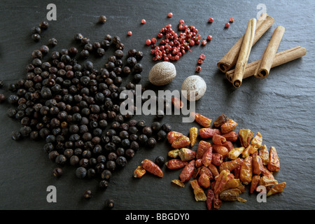 Verschiedene Gewürze auf einem Schiefer, Wacholder, Chilischoten, Paprika, Muskatnuss, Zimt-sticks Stockfoto